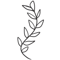 Hand Drawn Wild Flower Png