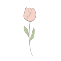 Hand gezeichnet wild Blume png