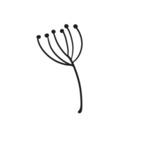 Hand gezeichnet wild Blume png