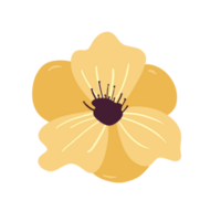 Hand gezeichnet wild Blume png