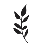 Hand gezeichnet wild Blume png