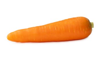 soltero Fresco naranja Zanahoria aislado con recorte camino y sombra en png archivo formato cerca arriba de sano vegetal raíz