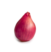 Single fresh red onion bulb in stack isolated with clipping path and shadow in png file format.