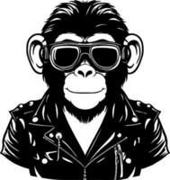 Cool monkey in the jacket vector