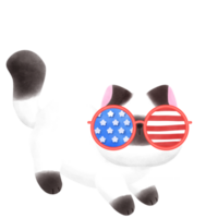 Happy 4th of July cute cat watercolor Illustration png