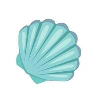 illustration of a seashell in realism vector