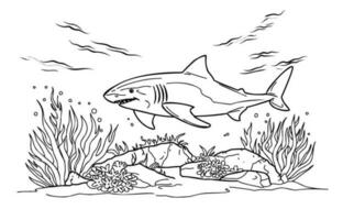 Coloring page shark. Coloring page life in the ocean with algae vector