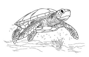 Coloring page turtle.Coloring page life in the ocean with algae vector