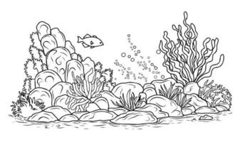 Underwater world coloring page. Coloring page life in the ocean with algae vector