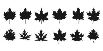 Set of Maple leaf vector icon on white background