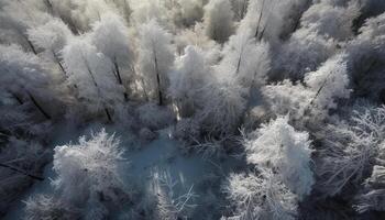 Frosty winter landscape with frozen trees and snow covered meadow generated by AI photo