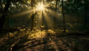 Vibrant autumn forest illuminated by bright sunlight and mysterious fog generated by AI photo