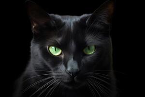 ai generado minimalista retrato de un pulcro negro gato, con perforación verde ojos y sutil oscuridad. foto