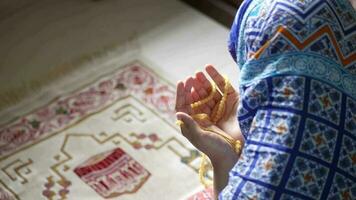 traseiro Visão do muçulmano mulher mão Rezar às Ramadã video