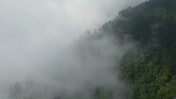 aéreo ver de brumoso tropical bosque en leyu montaña en Indonesia video