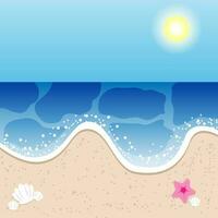 Beach banner with sun, shell and starfish vector