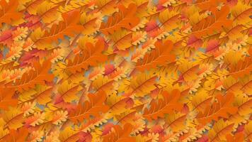 Fall Autumn Leaves Background with copy space vector