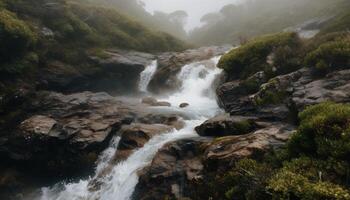 tranquilo escena de fluido agua en bosque generado por ai foto