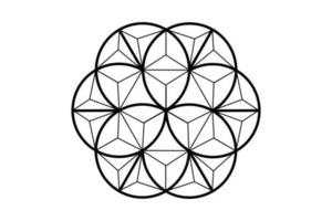 3D flower of life, sacred geometry. lotus flower. mandala ornament in polygonal wire frame, esoteric or spiritual symbol. Logo tattoo isolated on white background, vector illustration