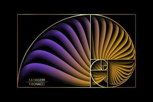 Fibonacci Sequence Golden ratio. Gold geometric shapes spiral. Colorful Snail spiral. Sea shell of white circles. Sacred geometry logo template. Vector isolated on black background