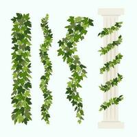 Ivy vines, and a greek antique column entwined with ivy, elements isolated on white background. Vector illustration in flat cartoon style