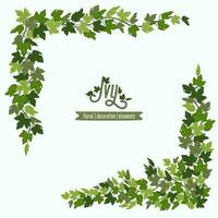 Ivy corners, green vines decorative frame or design elements isolated on white background. Vector illustration in flat cartoon style.