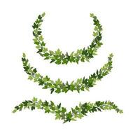 Ivy wreaths, green creeper decorative design elements isolated on white background. Vector illustration in flat cartoon style.