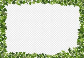 Ivy frame, green vines decorative frame. Vector illustration in flat cartoon style