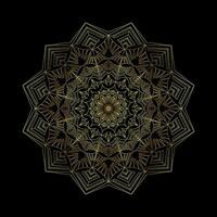 Luxury Mandala Design Template vector