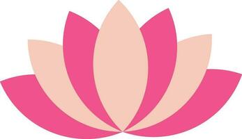 A Pink Lotus Flower vector