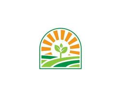 Nature agriculture field logo design with sun symbol vector illustration.