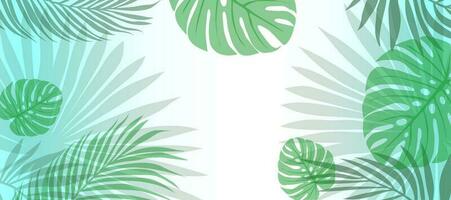 Vector botanical background. Summer green tropical leaves of palm and monstera on a white background. Abstract background for banner, wall decor.