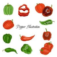 Chili and Bell Pepper Vector Illustration