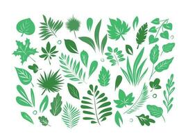 Vector illustration set of leaves isolated on a white background. Colorful collection of plants. Botanical elements for cosmetics, spa, cosmetics.Hand made.