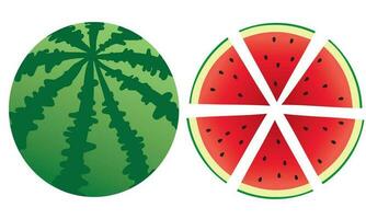 Fresh and juicy whole watermelons and slices vector
