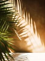 Tropical background for a product placement, palm tree leaves and sunlight shadows on the wall, minimalistic botanical backdrop, palms on a hot sunny day, photo