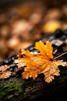 Abstract autumn background, beautiful countryside nature with autumnal leaves and bokeh, generative ai photo