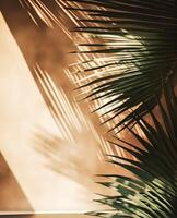 Tropical background for a product placement, palm tree leaves and sunlight shadows on the wall, minimalistic botanical backdrop, palms on a hot sunny day, photo