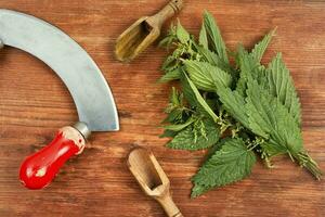 Fresh nettle and knife. photo