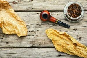 Smoking pipe with tobacco leaves photo