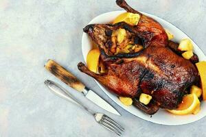 Roast Christmas duck with apples photo