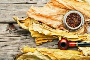 Smoking pipe with tobacco leaves photo