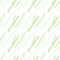 Asparagus seamless pattern on transparent background, flat vector. vector
