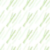 Asparagus seamless pattern on transparent background, flat vector. vector