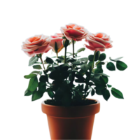isolado em vaso plantar e flores para decoração, ai gerado png