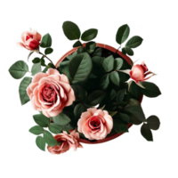 isolato in vaso pianta e fiori per decorazione, ai generato png