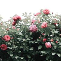 isolated potted plant and flowers for decoration, ai generated png