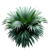 isolated potted plant and flowers for decoration, ai generated png