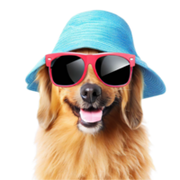 happy dog and summer hat and sun glass, ai generated png