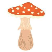 Fly agaric. Poisonous mushroom. Amanita Muscaria. Vector illustration isolated on white background